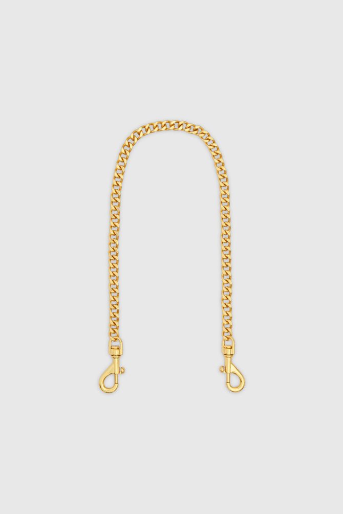 Chain Leash